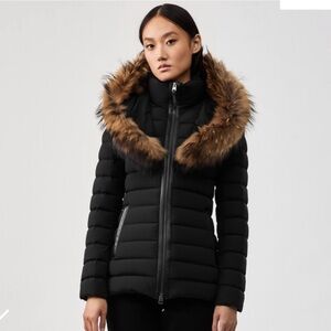 Magnate Kadalina Black